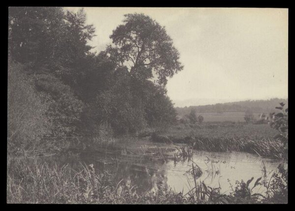 Gale, Lt. Col. Joseph, Pond with Reeds