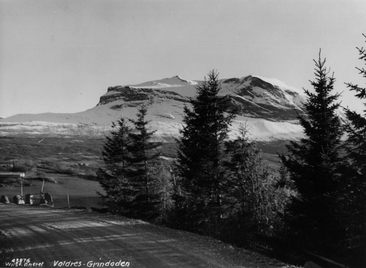 Anders Beer Wilse, Grindane Valdres Oversiktsbilde