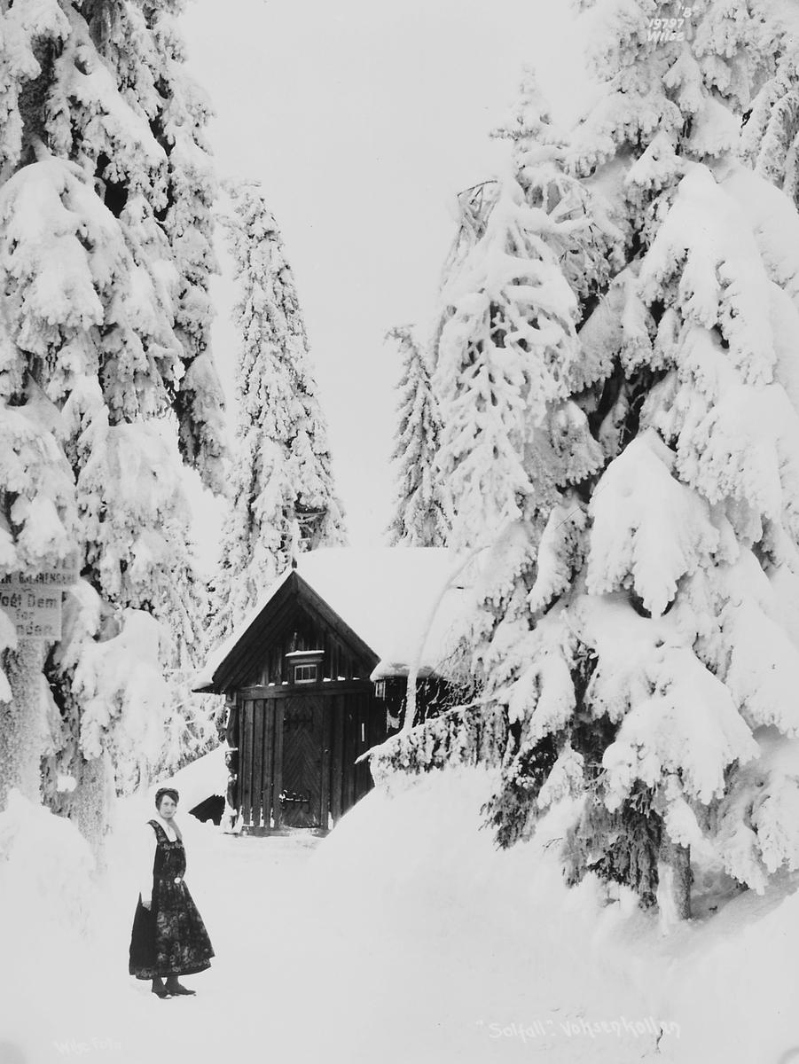 Anders Beer Wilse, Prot: Fearnley fru Hallingdalstue