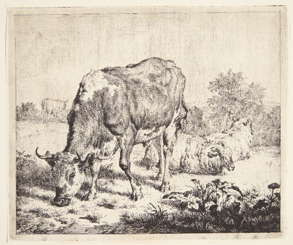 Adriaen van de Velde, Broget tyr og tre får