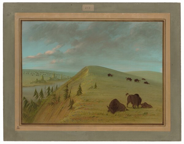 George Catlin, Cedar Bluffs