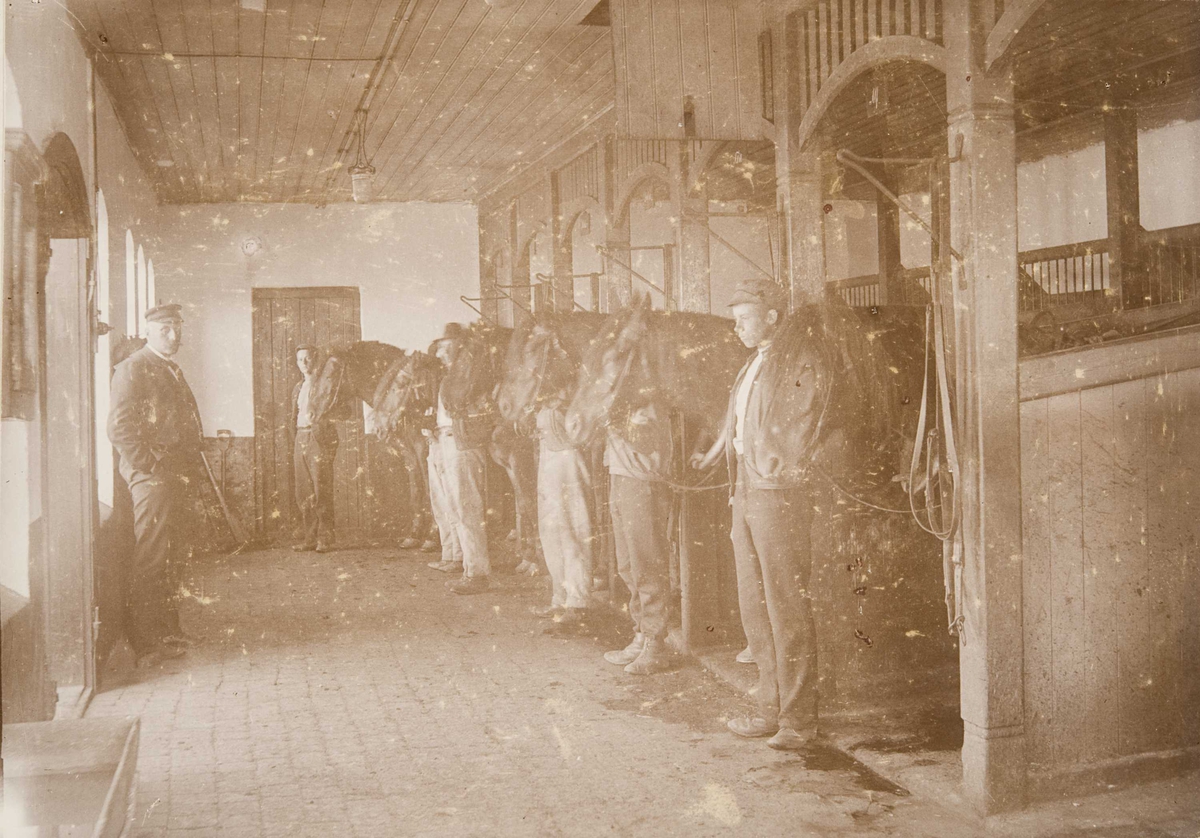 Berg & Høeg, Stallen på Bastøy skolehjem, Bastøya, ca. 1903. En mannlig betjent og fem elever står oppstilt sammen med hestene.