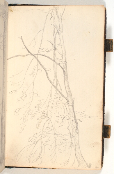 P.C. Skovgaard, Et træ med knækkede grene