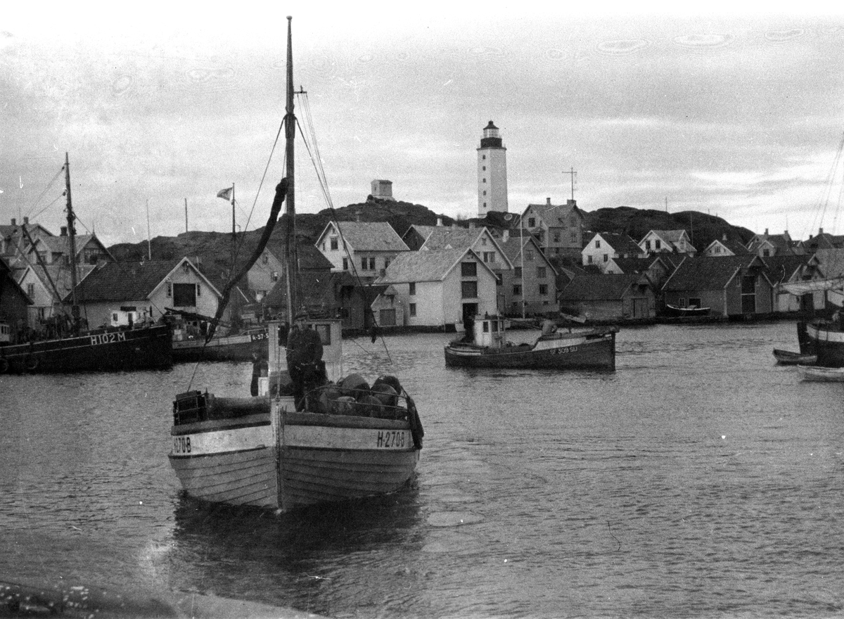 Anders Beer Wilse, Prot: Kvitingsöy leden