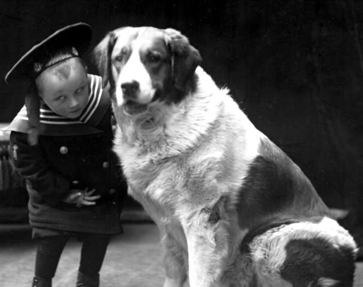 Gustav Borgen, Portrett, gutt i matrosdress og hund. Doktor Brandts sønn.