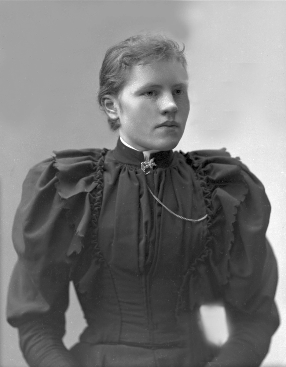 Gustav Borgen, NFB.31858