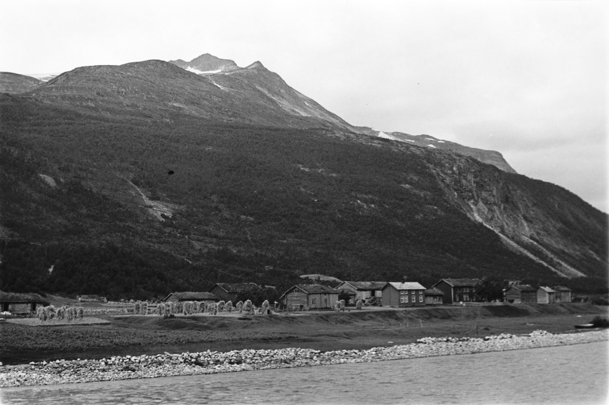 Anders Beer Wilse, Prot: Vold. Beiardalen