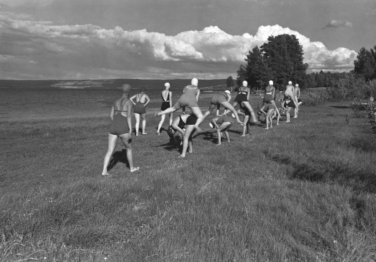 Anders Beer Wilse, Prot: Rotary Feriekoloni Trogstad Gymnastik