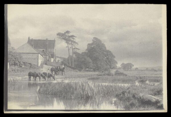 Gale, Lt. Col. Joseph, Horses at Water