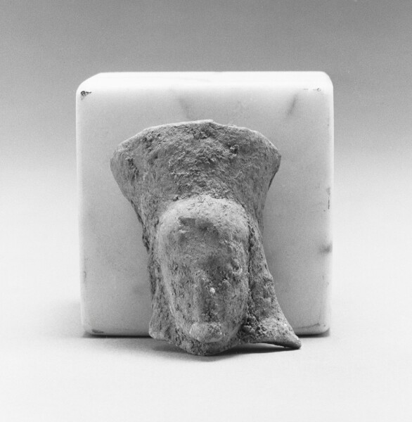 Unknown, Female Head