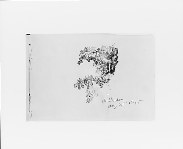 William Trost Richards, Wilkeson Aug 21st 1885: Nature Study (from Sketchbook X)