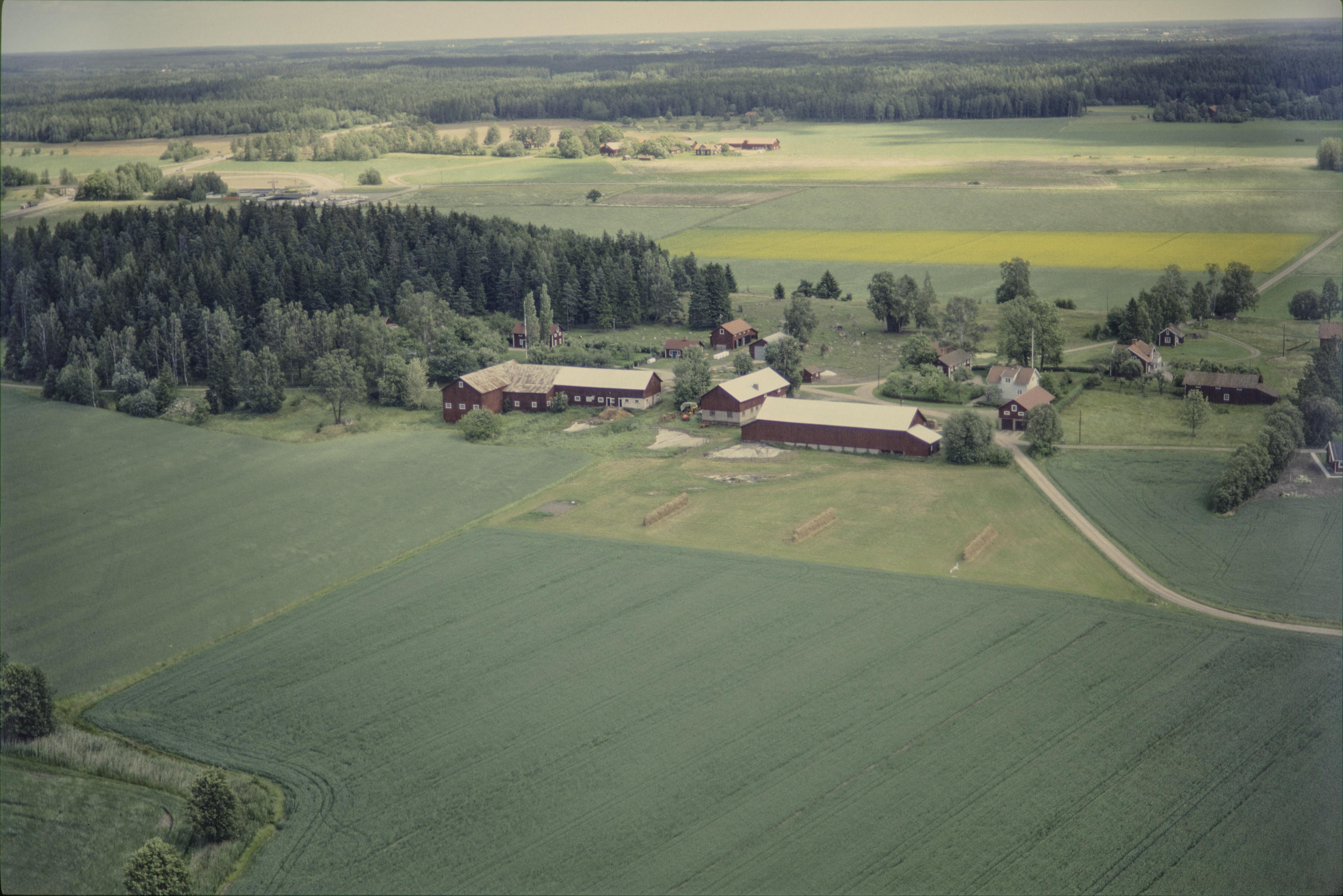 Jan Norrman, Munktorp 132:1
