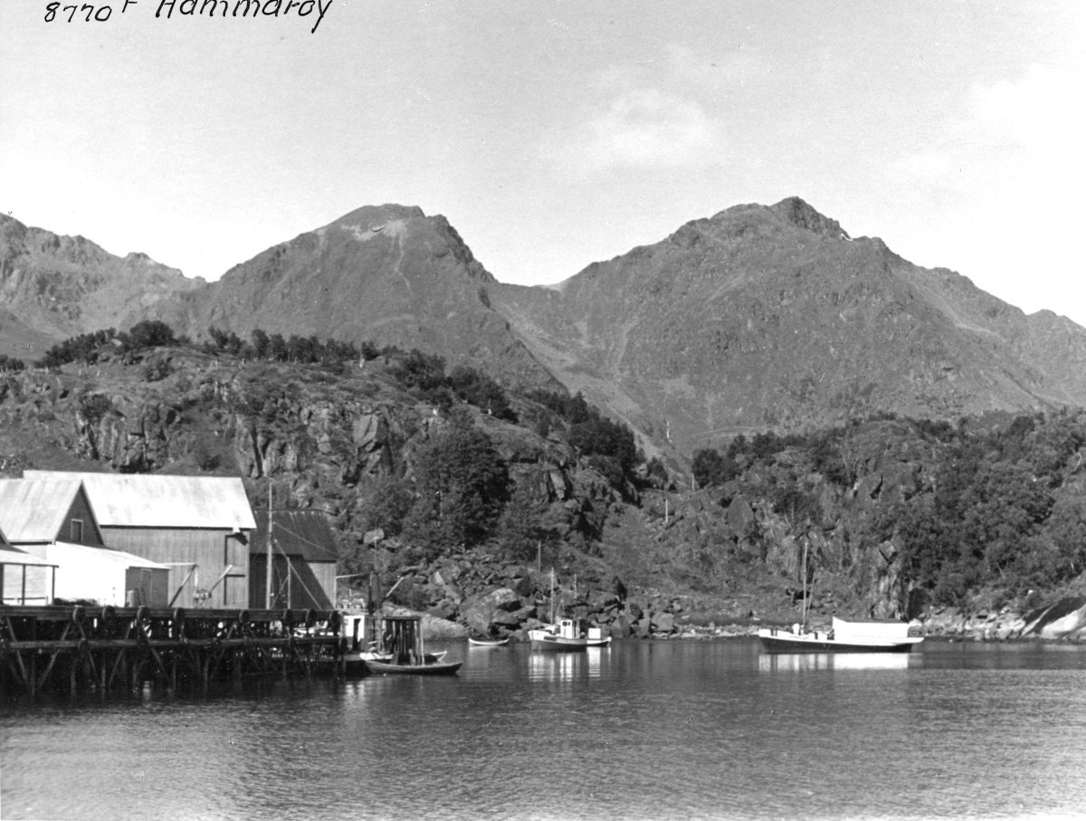 Anders Beer Wilse, Båter i Skutvika, Hamarøy, 1938.