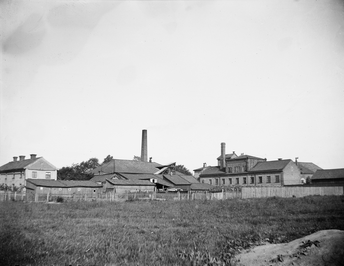 Carl Liljefors, Upsala Ångqvarns Aktiebolag