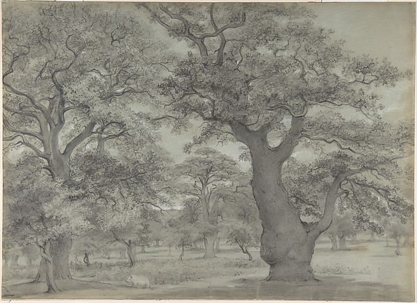 Anonymous, British, 19th century, Oak forest with a pig