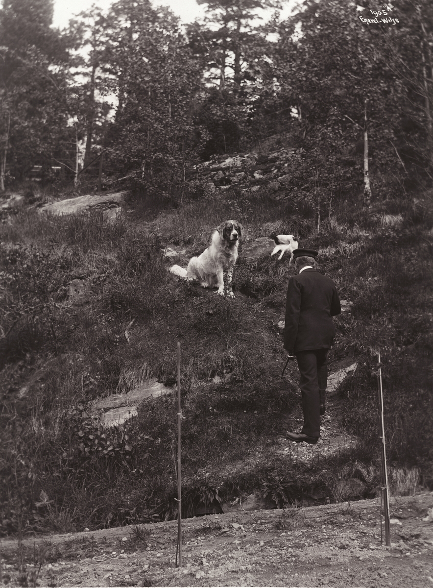 Anders Beer Wilse, Prot: Kapt. Roald Amundsen med sine tro Følgesvende 3/6