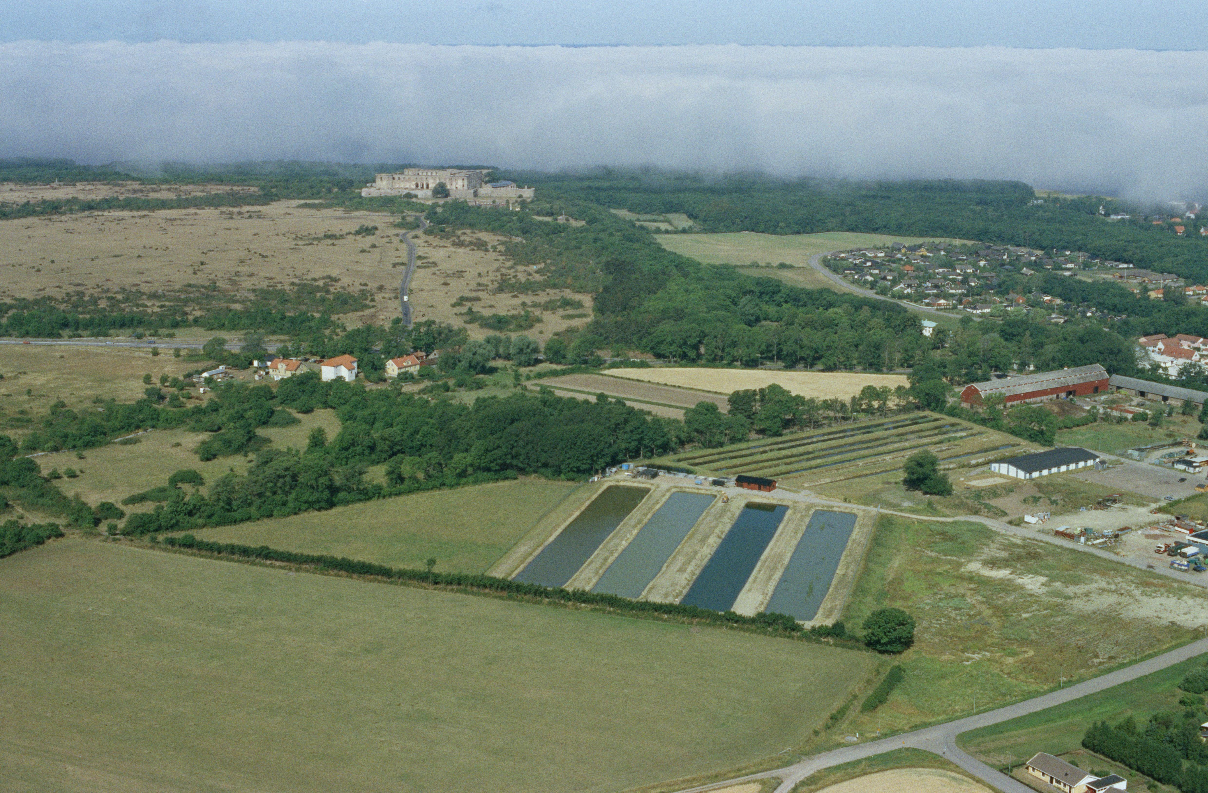 Jan Norrman, Vasahuset