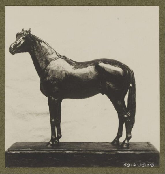 unknown, Photograph