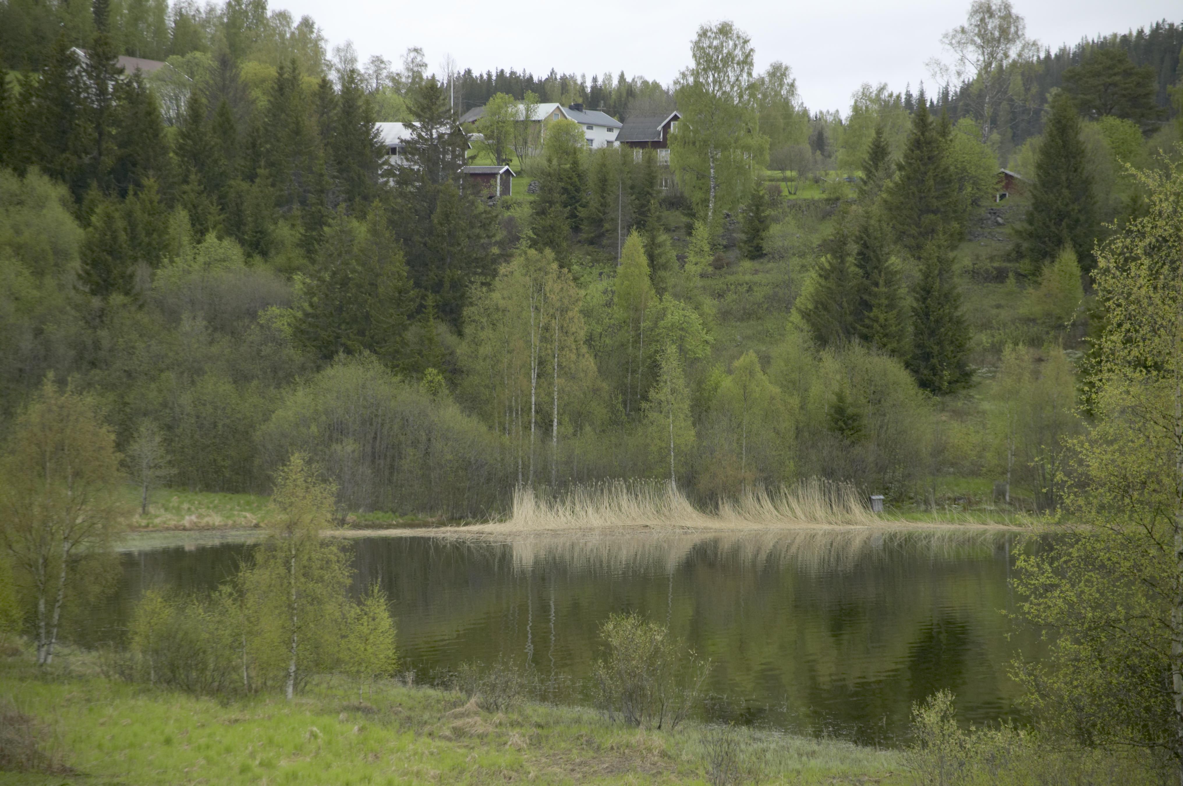 Bengt A Lundberg, Lappudden