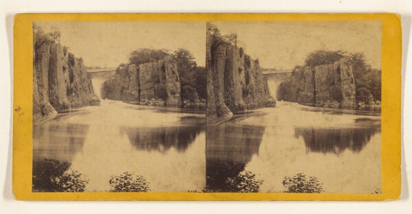 Edward and Henry T. Anthony & Co., Passaic Falls, N.J. The Falls and Bridge across the Gully from the Basin.