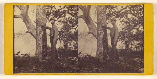 Timothy H. O'Sullivan, [Bowditch.]