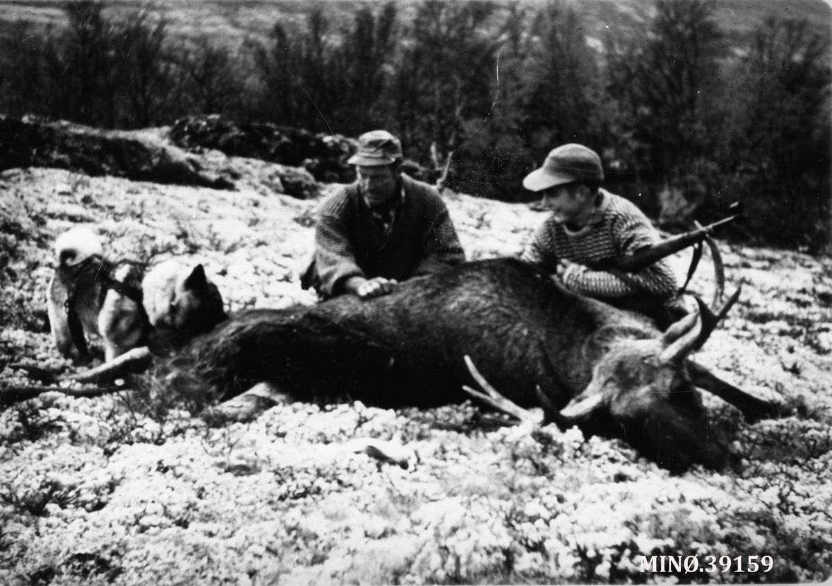 Ukjent, Elgjakt i Mjovassdalen. Jerva, Ola og Jørn Blæsterdalen