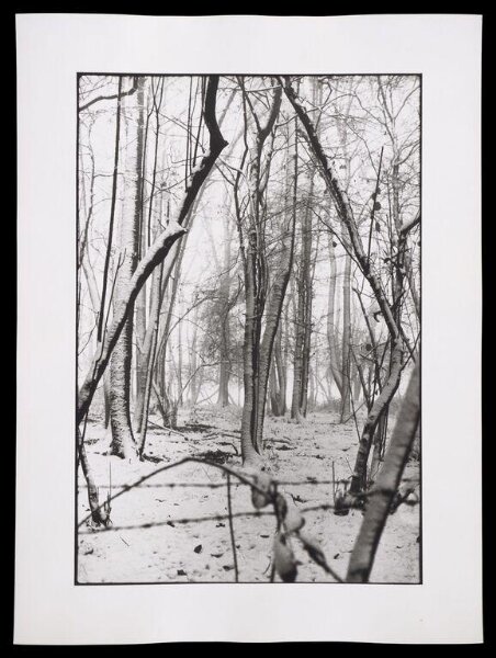 Hardy, Bert, Snow