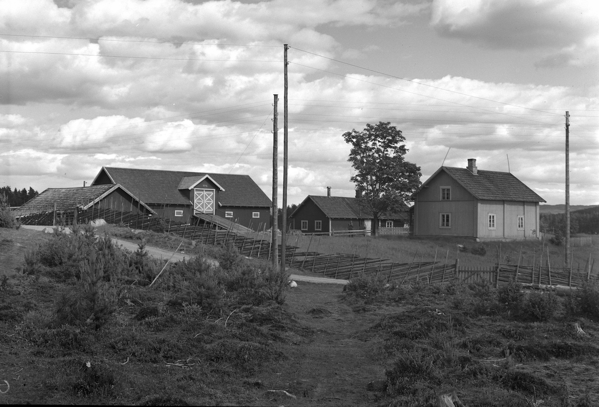 Anno Domkirkeodden, EKSTR: GARDSTUN, SANDBÆKBAKKEN. Se Løtenboka, bind 3. Bygdeboka fra 1955, side 867