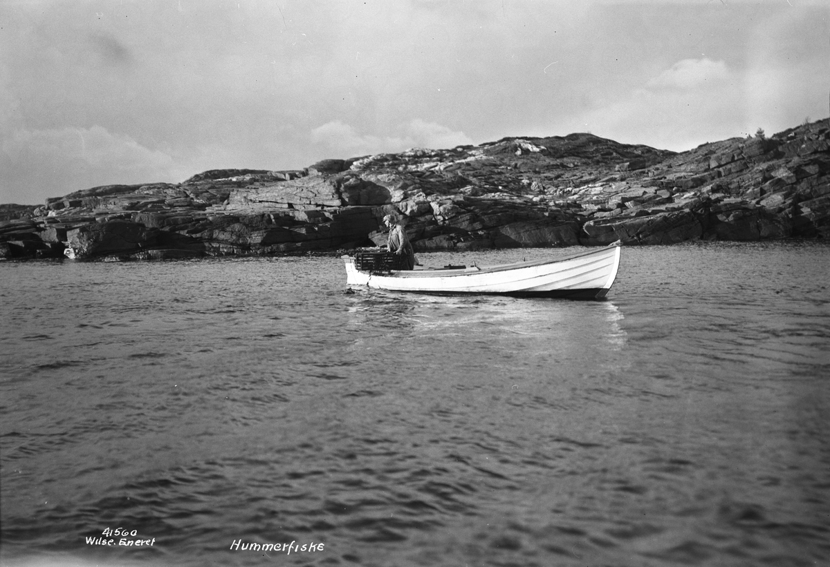 Anders Beer Wilse, Prot: Ny Hellesund hummerfiske
