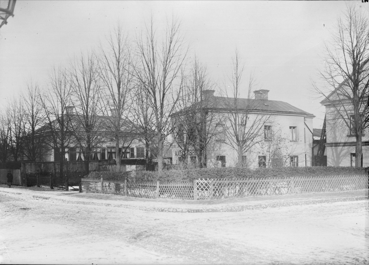 Alfred Dahlgren, King Street - Cabbage Bound, The Royal Bed, Uppsala 1901 - 1902
