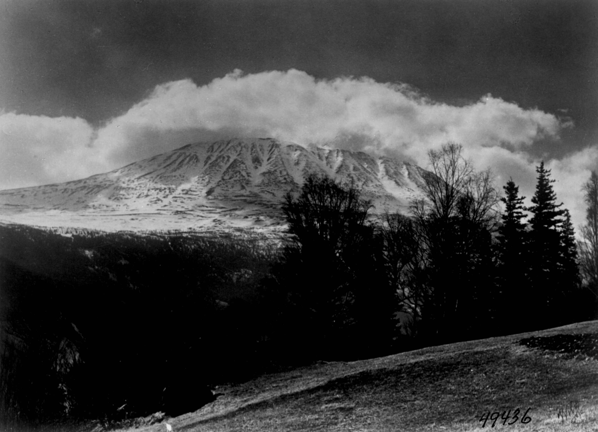 Anders Beer Wilse, Gaustatoppen i Vestfjorddalen.