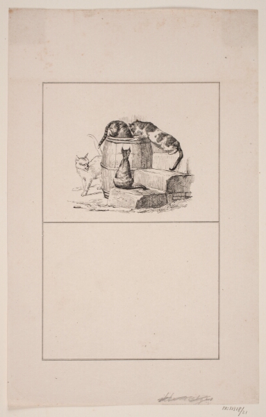 Adolph Kittendorff, Kattene