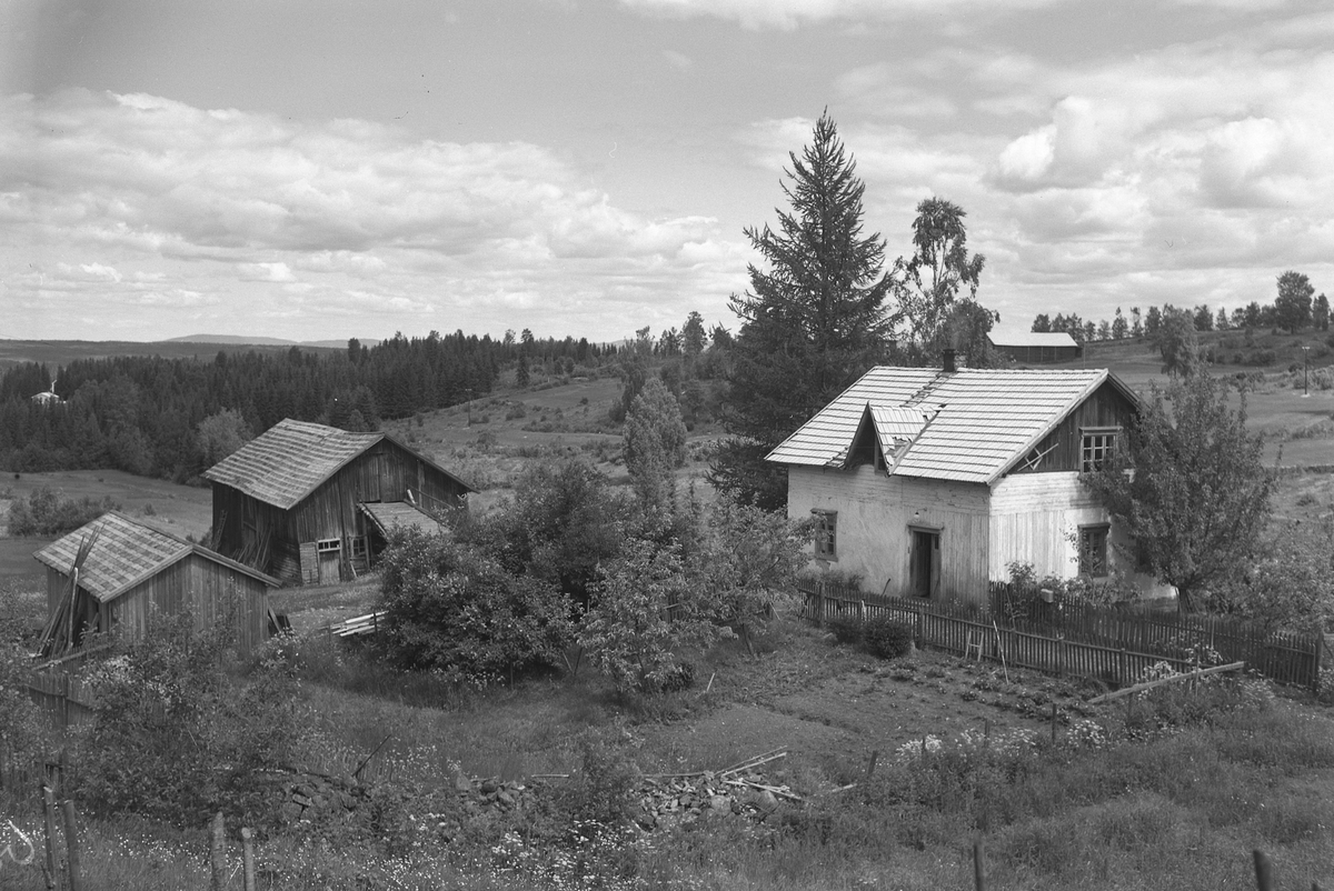 Anno Domkirkeodden, EKSTR: GARDSTUN, MIDTLI, LØTEN. Se Løtenboka, bind 3. Bygdeboka fra 1955, side 805