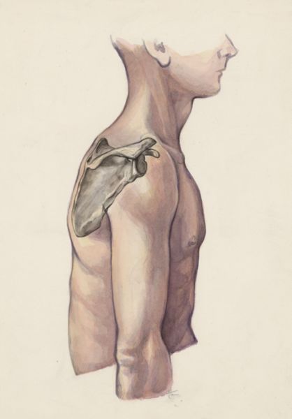 J Tinkelenberg, Shoulder joint