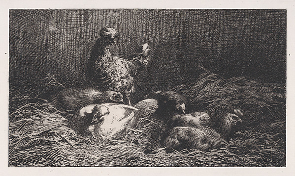 Charles Jacque, Poules