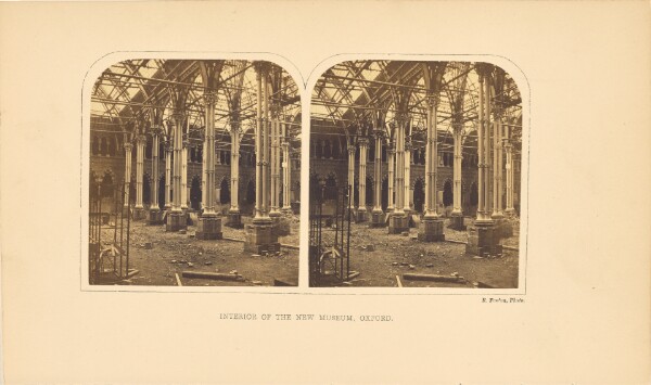 Roger Fenton, Interior of the New Museum, Oxford