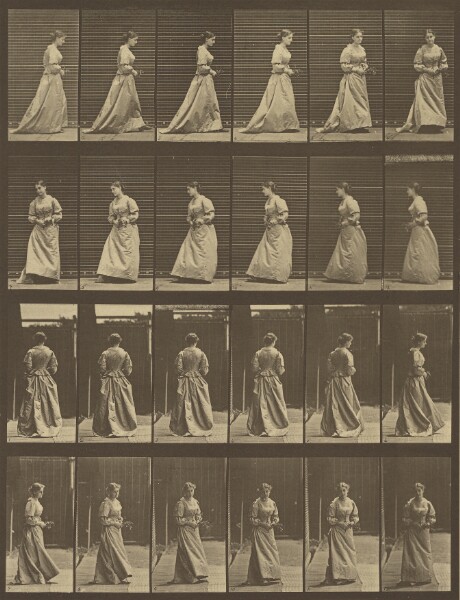 Eadweard J. Muybridge, Animal Locomotion
