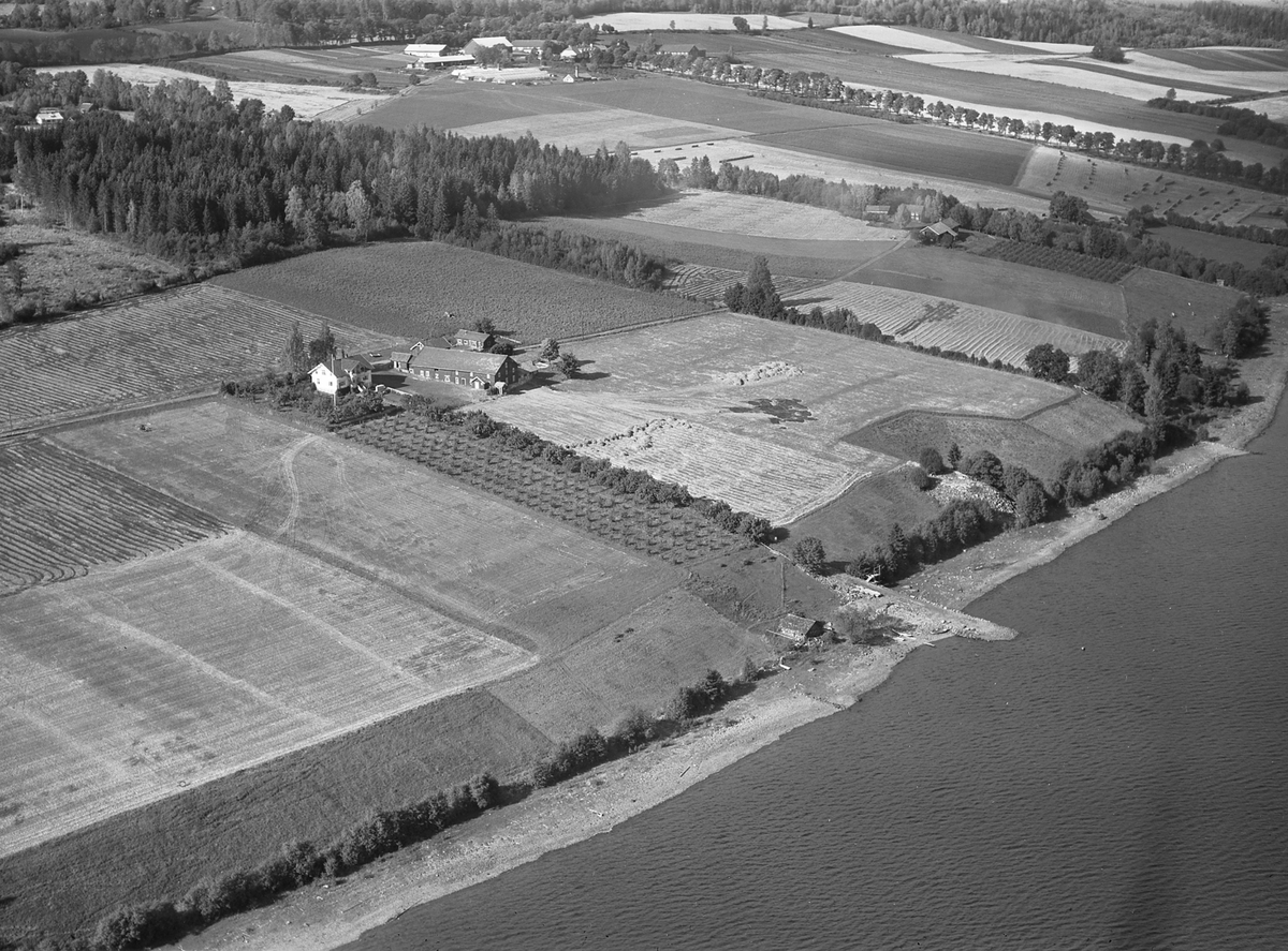 Anno Domkirkeodden, Flyfoto, gardsbruk, Slåtten, Nes, Hedmark.