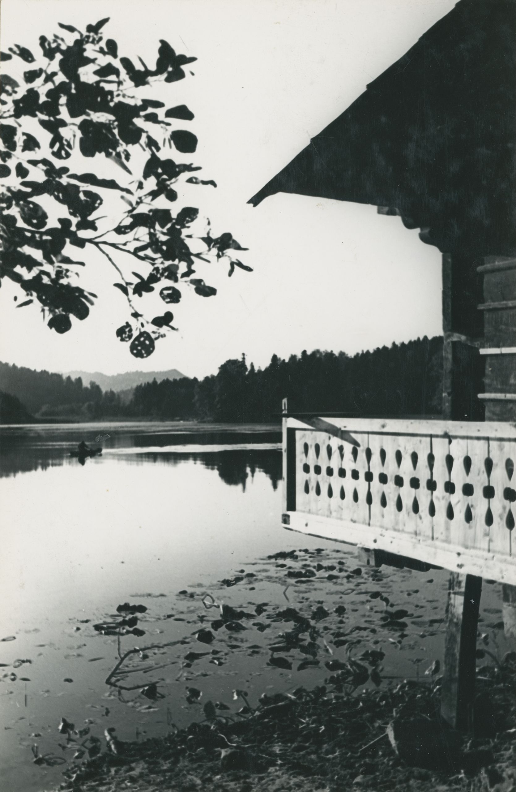 neutvrđen autor, Trakošćan - ribarska kućica, jezero, okolni park