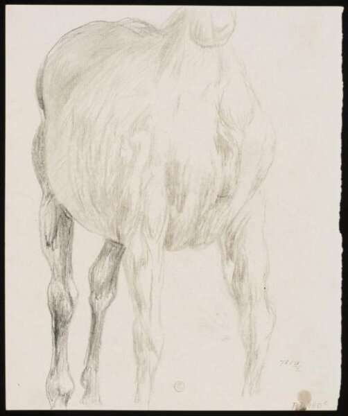 William Etty, Drawing
