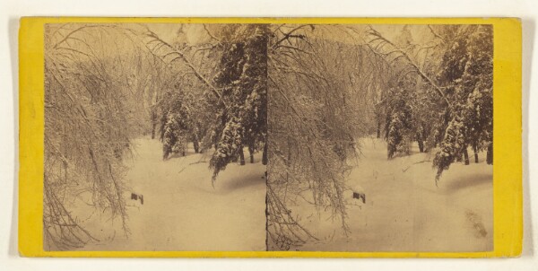 Edward and Henry T. Anthony & Co., Winter in the Catskills. [Ice and snow]
