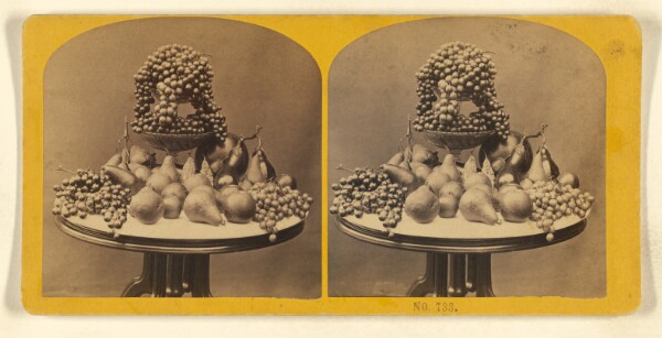 Benjamin West Kilburn, [Table full of fruits]