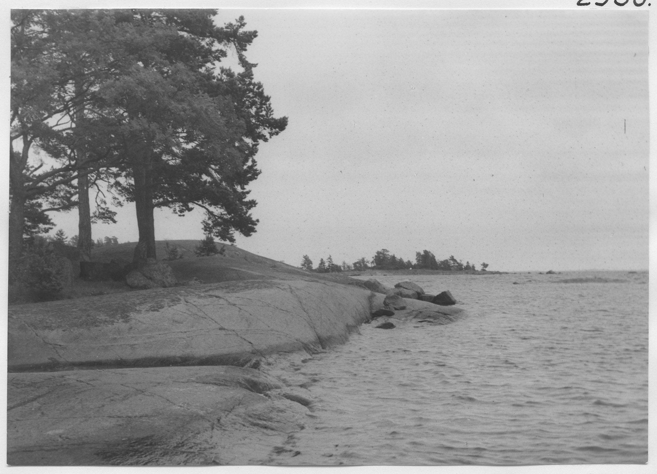 Mårten Sjöbeck, Vibroskärgården