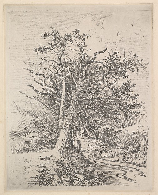 John Crome, Tree Trunks and Lane