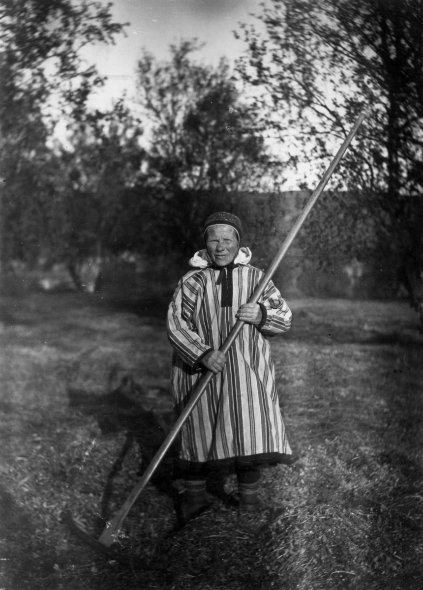 Konrad Nielsen, Kvinne med en rive.Polmak.