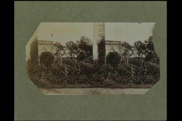 Clementina, Lady Hawarden, Photograph