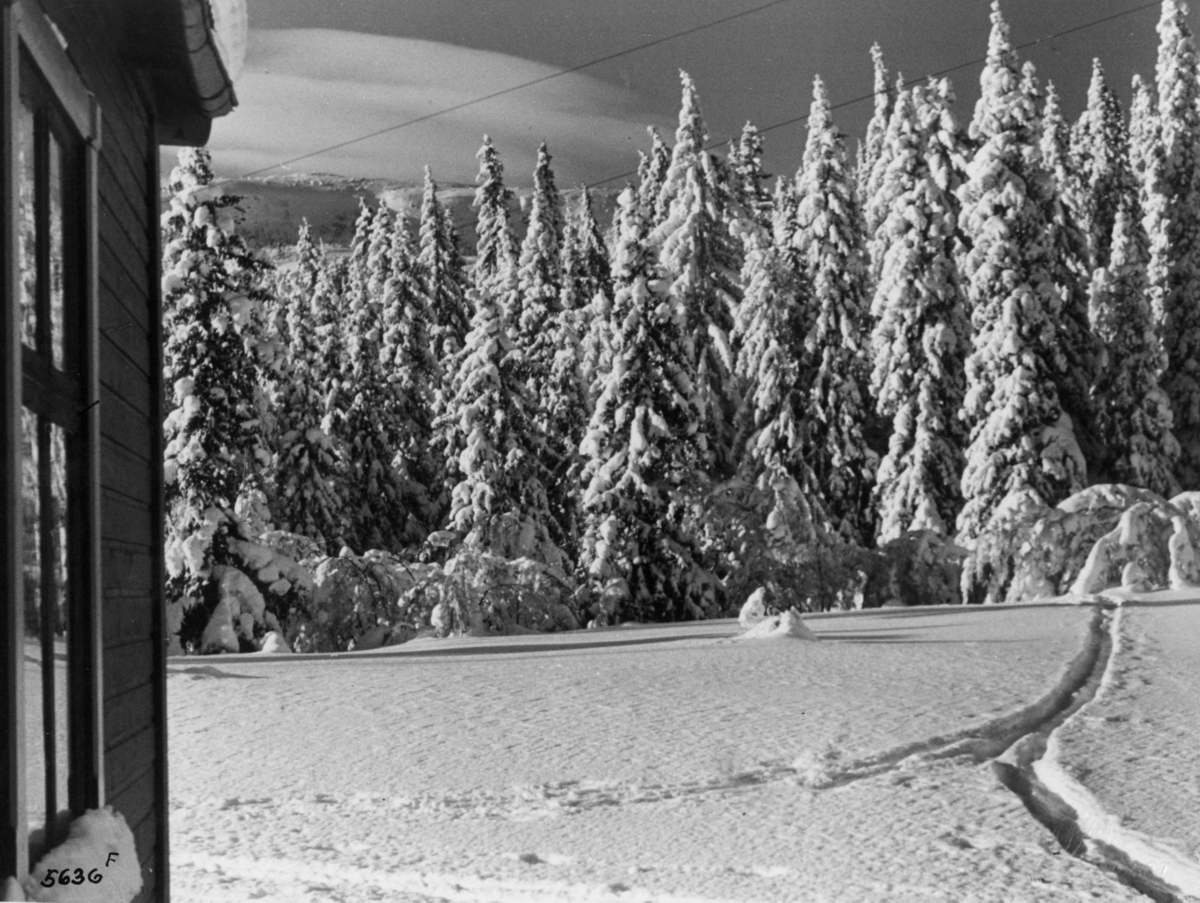 Anders Beer Wilse, Bebyggelse, Vinter, Sno