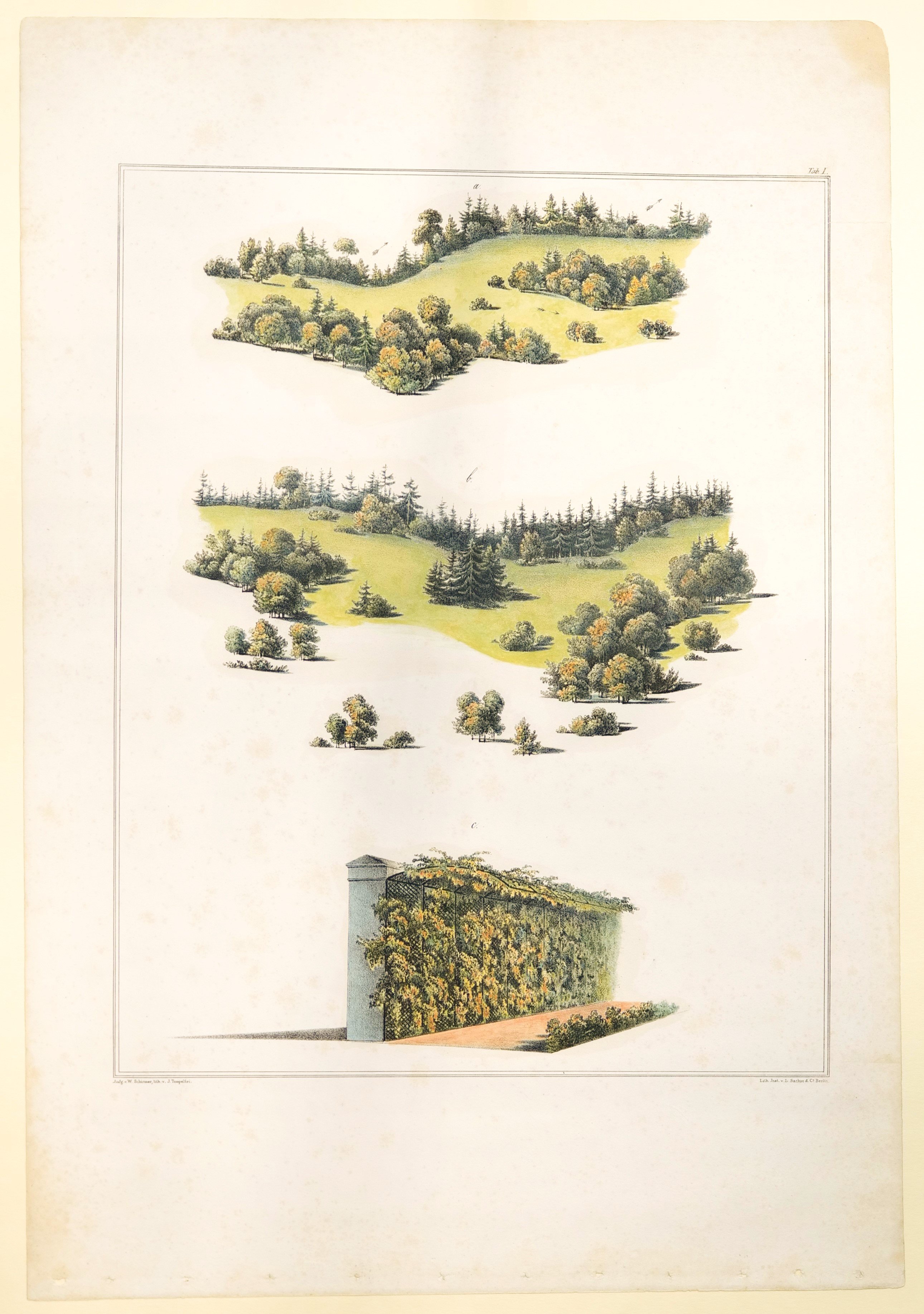 Friedrich Julius Tempeltey, Randpflanzung von Nadelholz, Tafel I der "Andeutungen über Landschaftsgärtnerei"