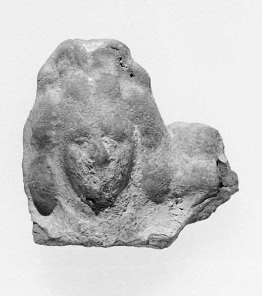 Unknown, Female Head