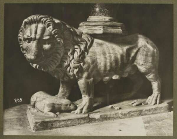 Unknown, Photograph